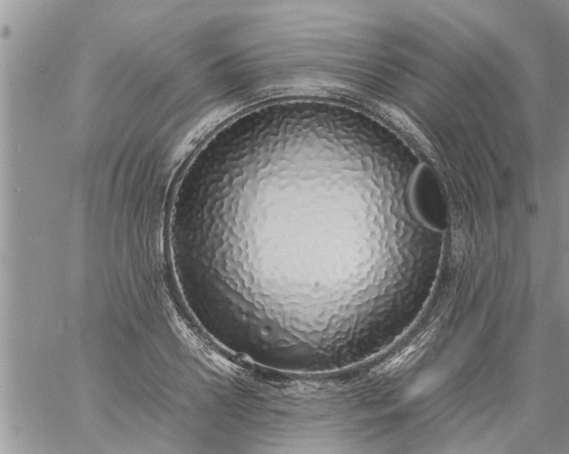 X0000060780938200511241816