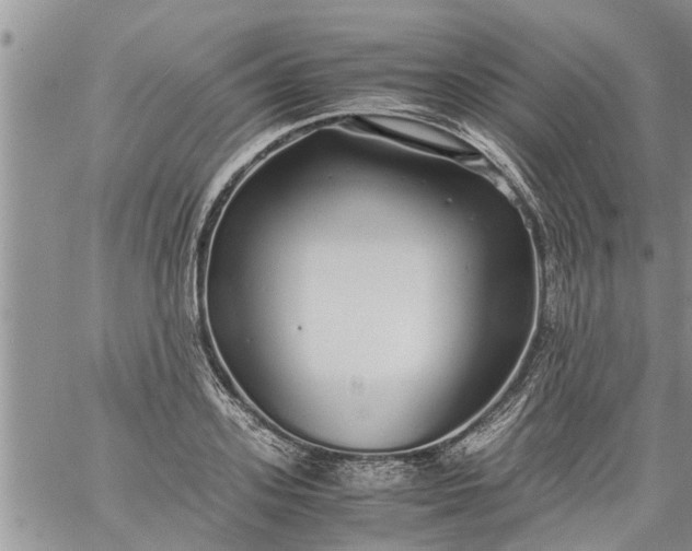 X0000060780939200511241816