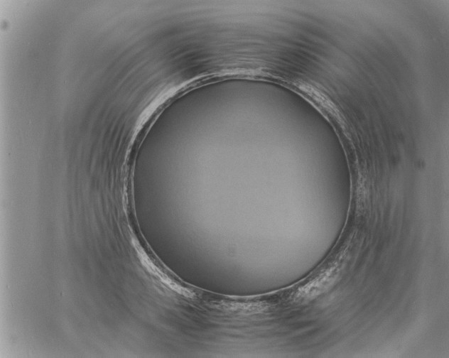 X0000060780941200511241816