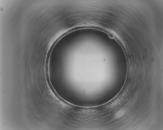 X0000060780943200511241816