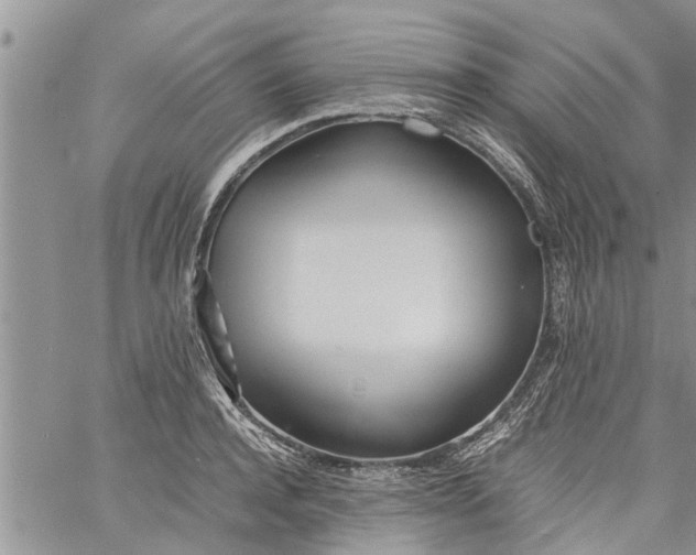 X0000060780944200511241816