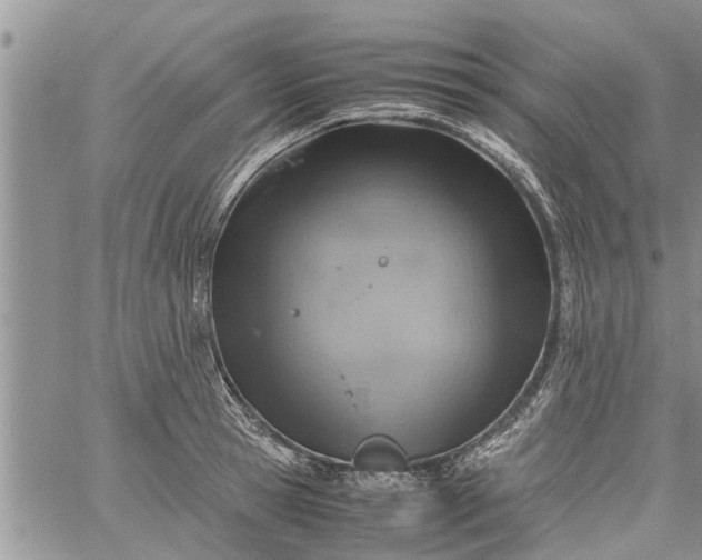 X0000060780945200511241816