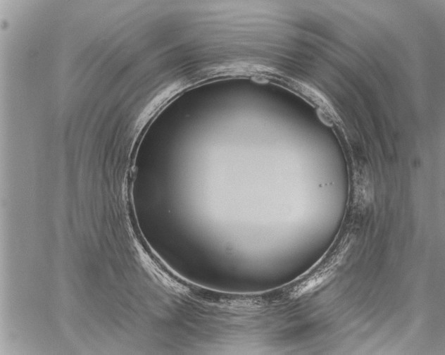 X0000060780946200511241816