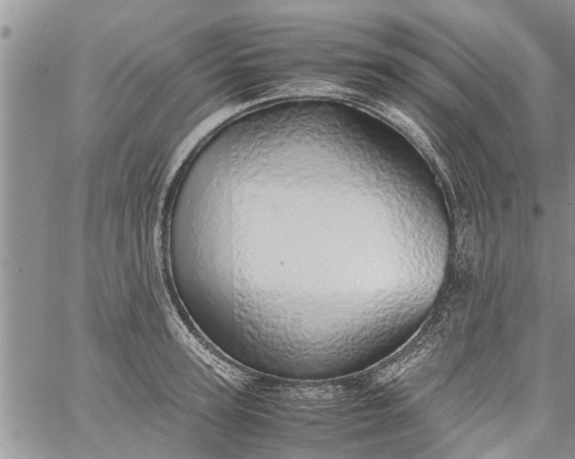 X0000060780947200511241816