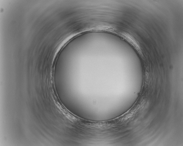 X0000060780948200511241816