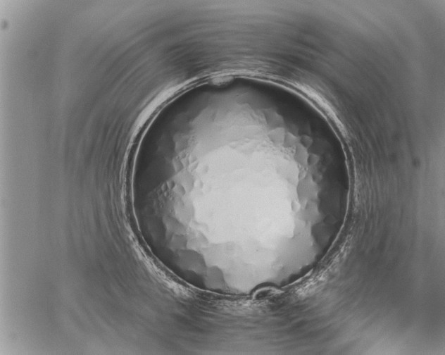 X0000060780949200511241816