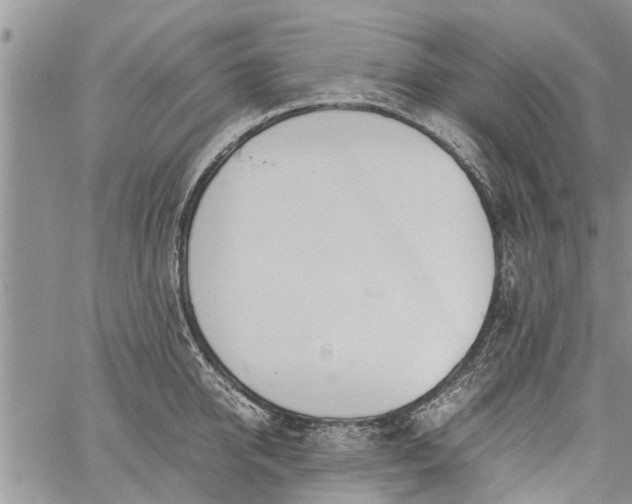 X0000060780950200511241816