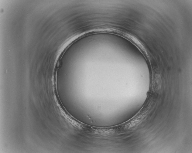 X0000060780951200511241816