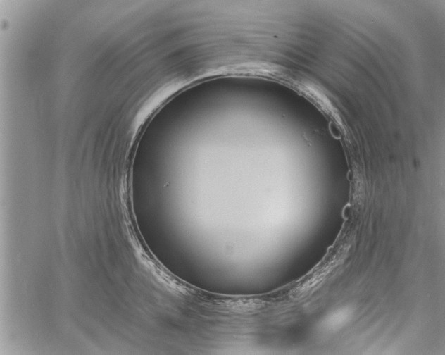 X0000060780952200511241816