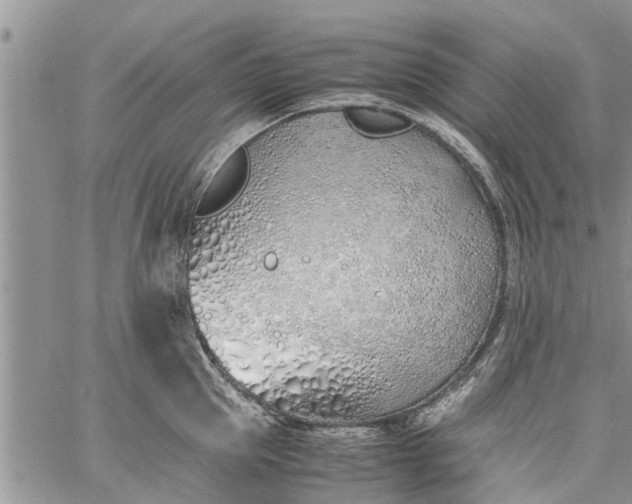 X0000060780953200511241816