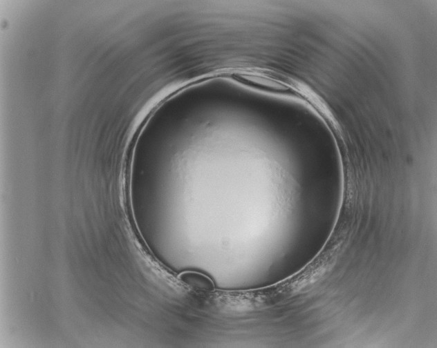 X0000060780955200511241816