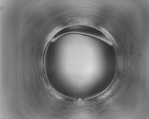 X0000060780956200511241816