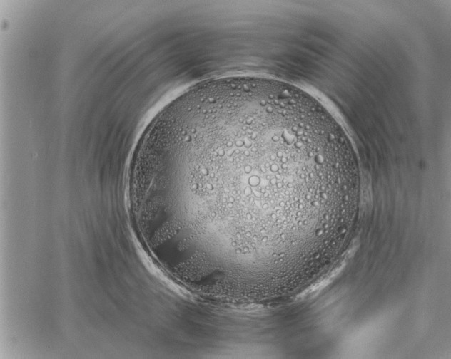 X0000060780957200511241816