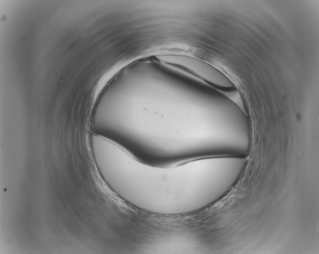 X0000060780960200511241816