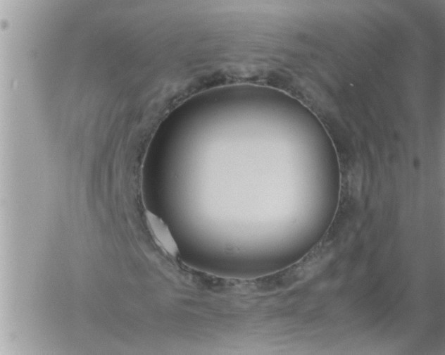 X0000060780961200511241815