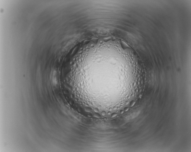 X0000060780962200511241815