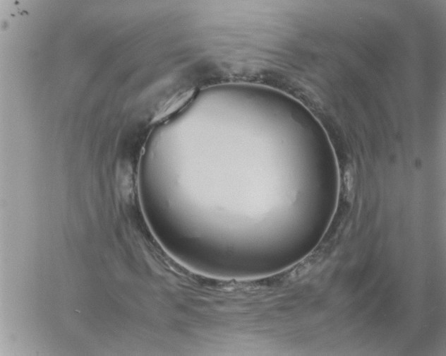 X0000060780963200511241815