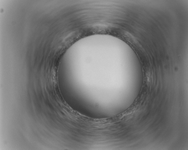 X0000060780964200511241815