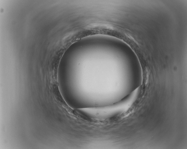 X0000060780965200511241815