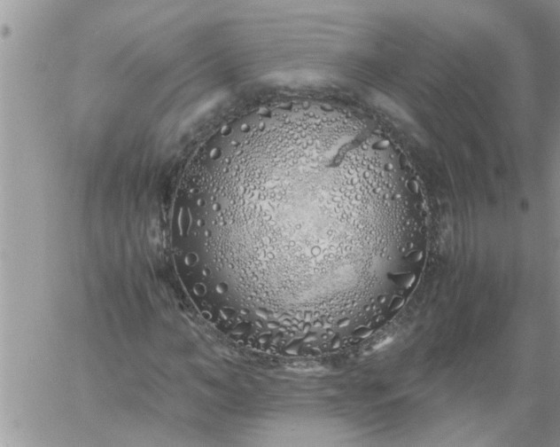 X0000060780966200511241815