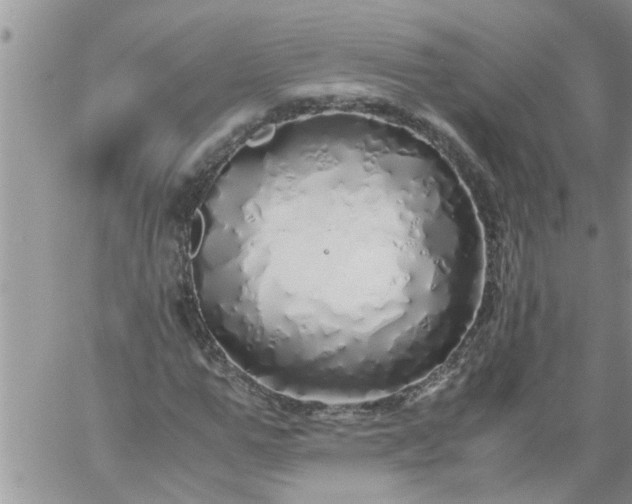 X0000060780967200511241815