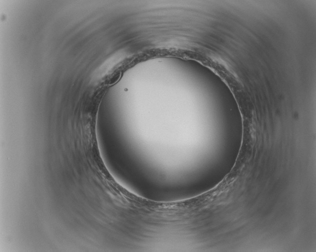 X0000060780968200511241815