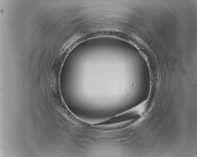 X0000060780969200511241815