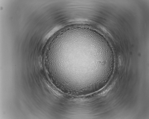 X0000060780970200511241815