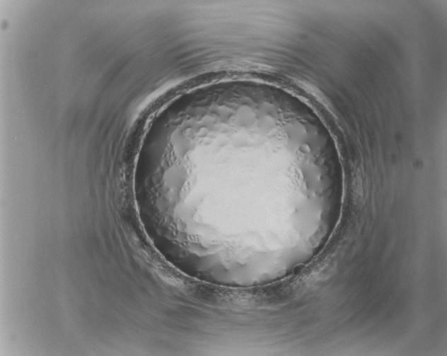 X0000060780971200511241815