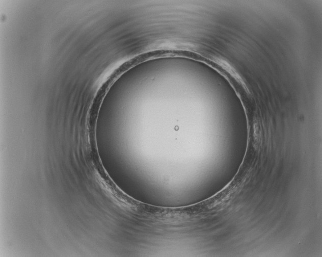 X0000060780972200511241815