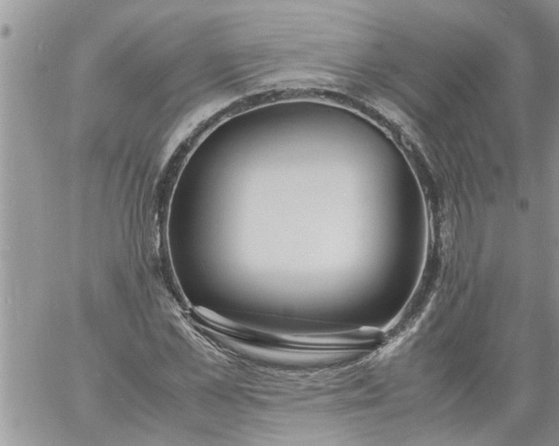 X0000060780973200511241815