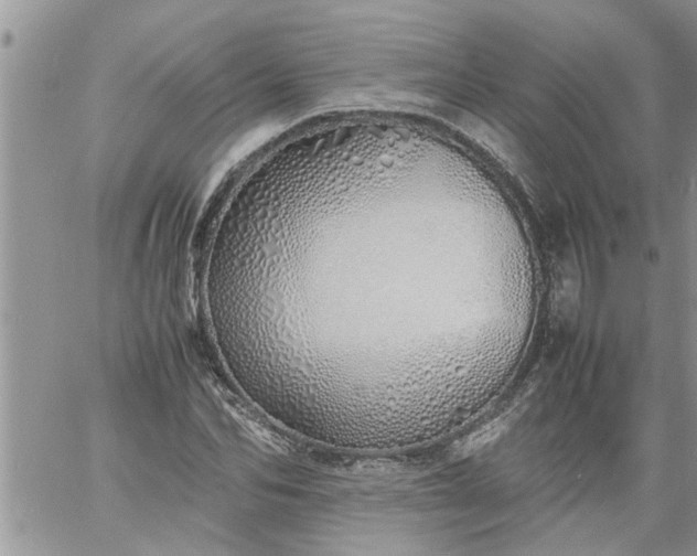 X0000060780974200511241815