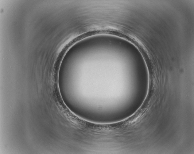 X0000060780975200511241815