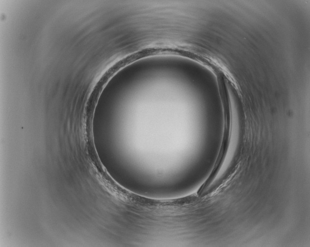 X0000060780976200511241815