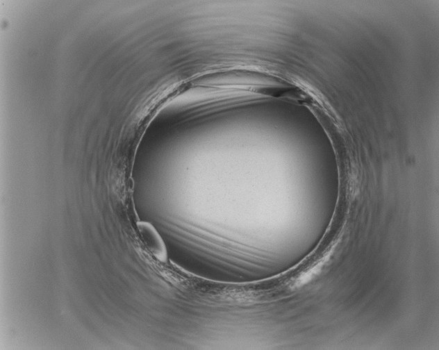 X0000060780977200511241815