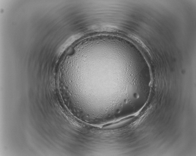 X0000060780978200511241815