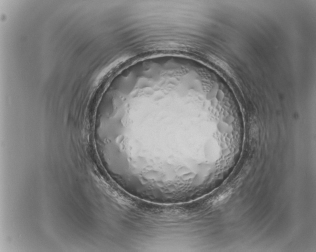 X0000060780979200511241815