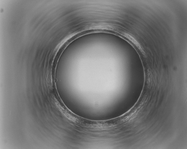 X0000060780980200511241815