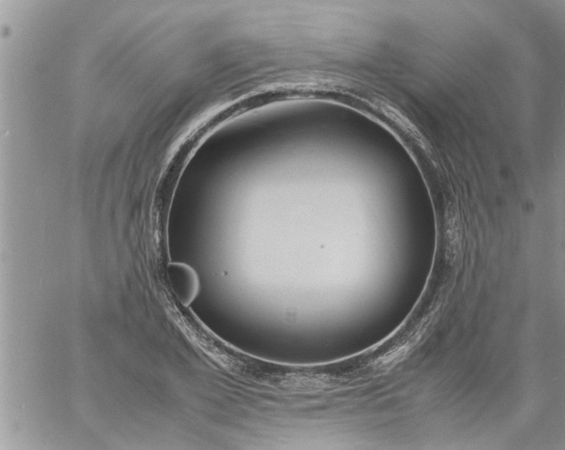 X0000060780981200511241815