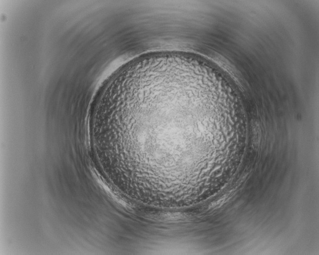 X0000060780982200511241815