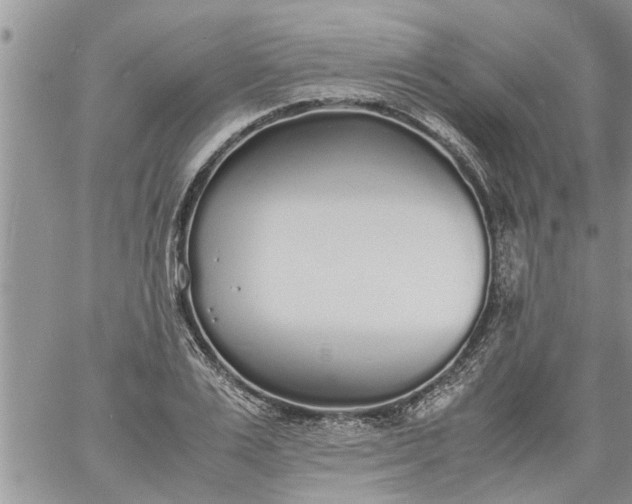 X0000060780983200511241815