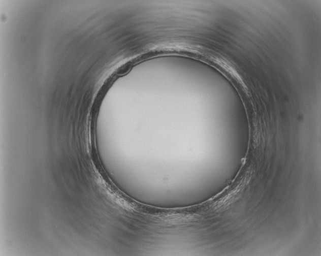 X0000060780984200511241815