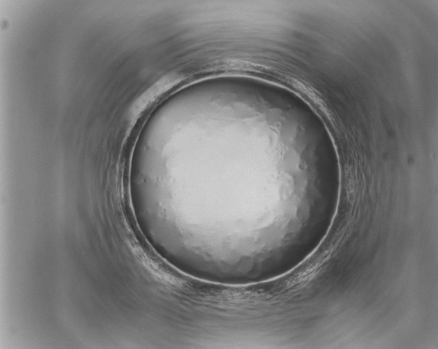 X0000060780987200511241815