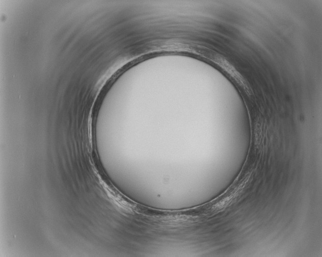 X0000060780988200511241815