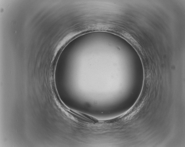 X0000060780989200511241815