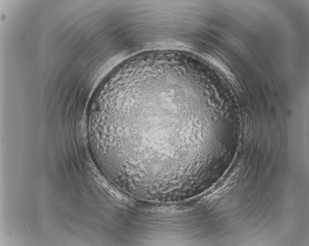 X0000060780990200511241815