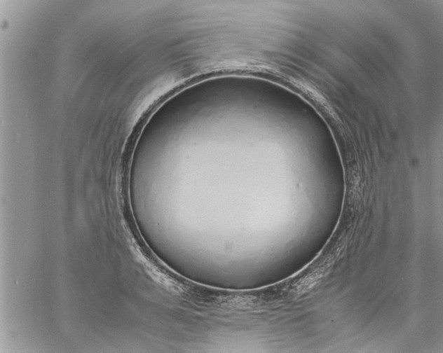 X0000060780991200511241815