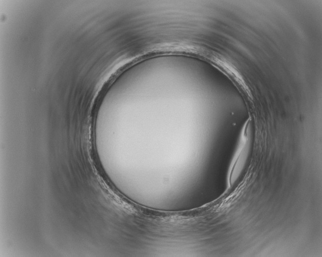 X0000060780992200511241815