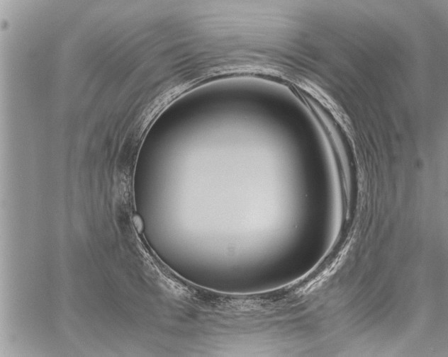 X0000060780993200511241815