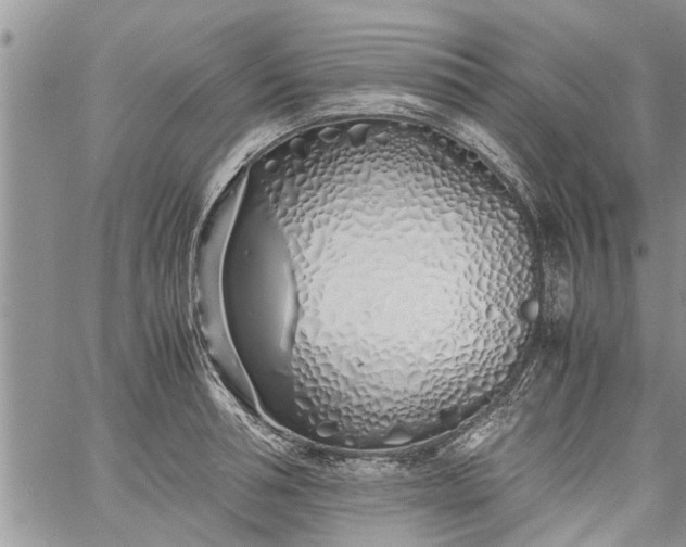 X0000060780994200511241815